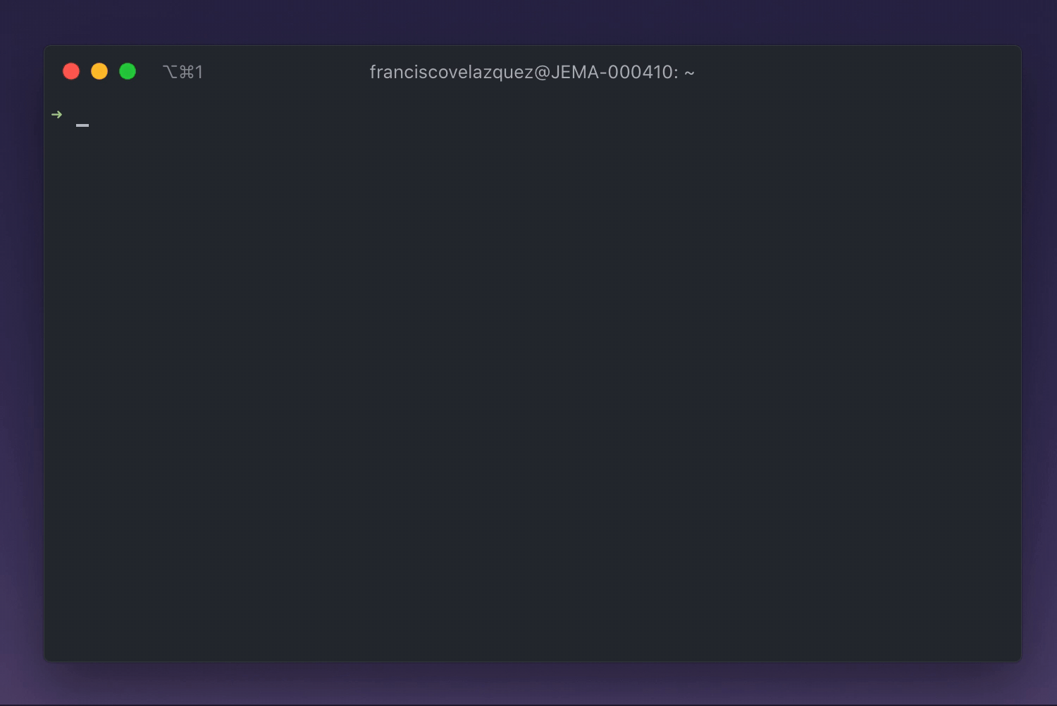 Zsh with auto complete